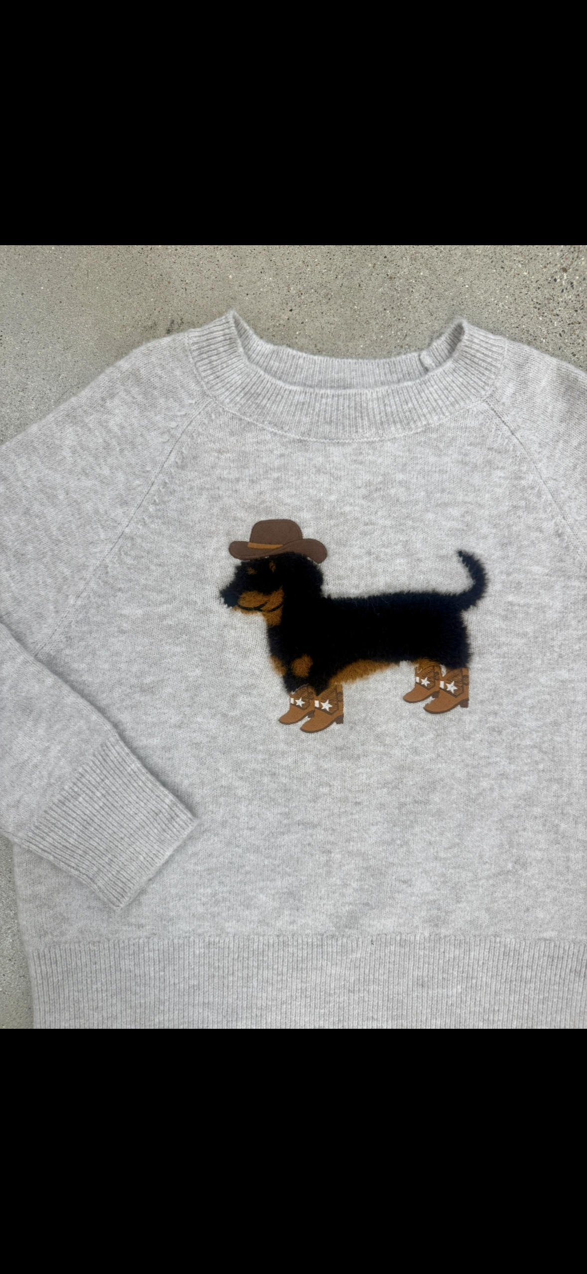 Pre-Order Rodeo Pup Sweater