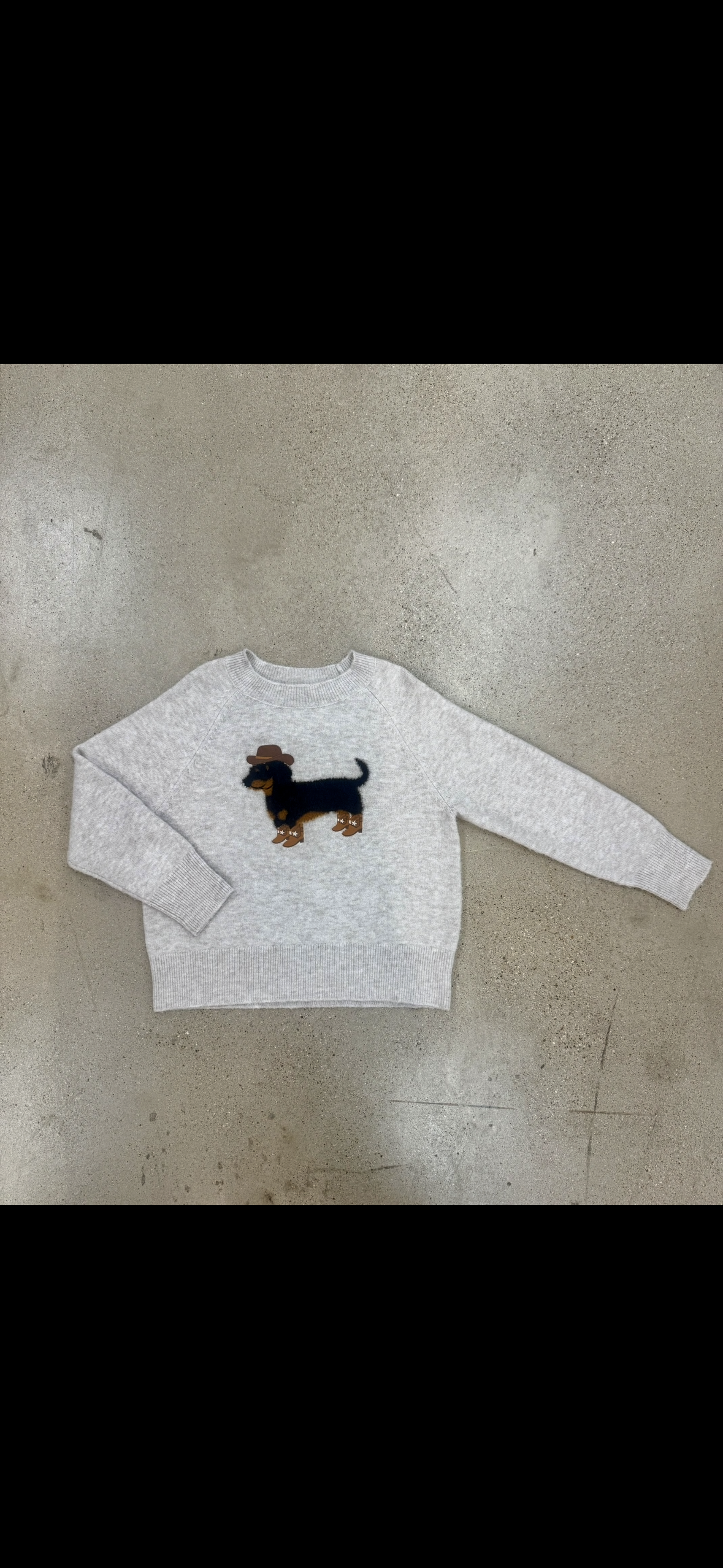 Pre-Order Rodeo Pup Sweater